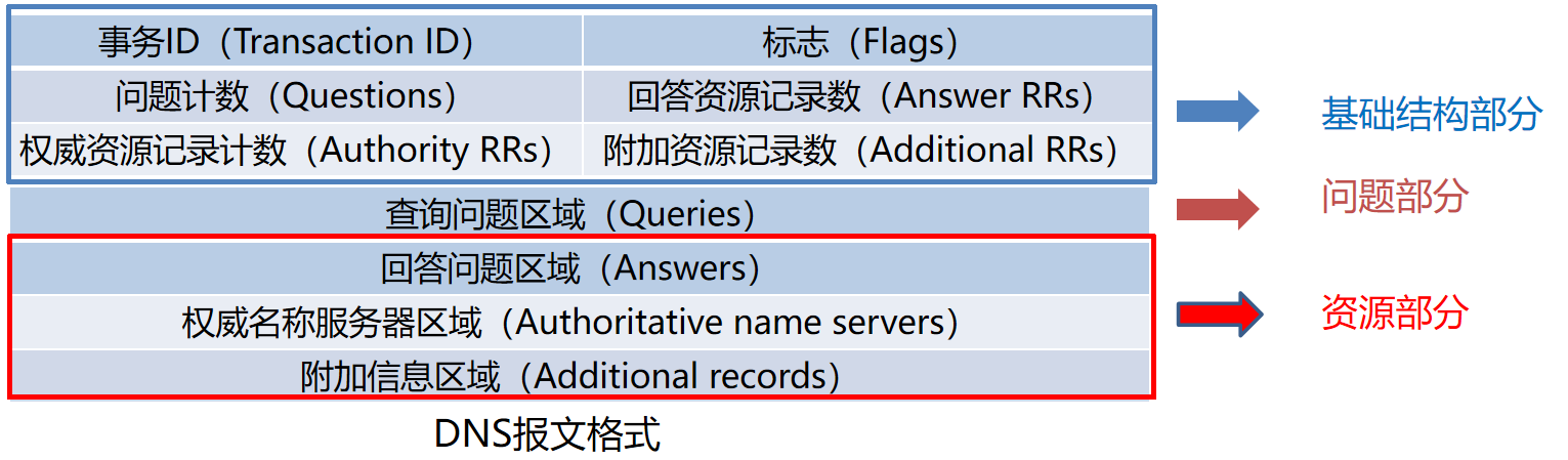 DNS 报文格式