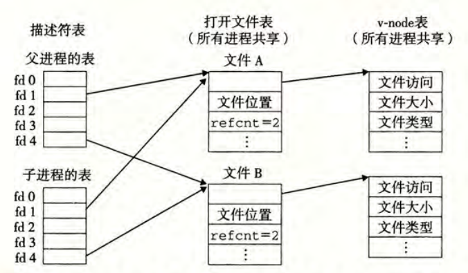 描述符表、打开文件表与 v-node 的共享关系